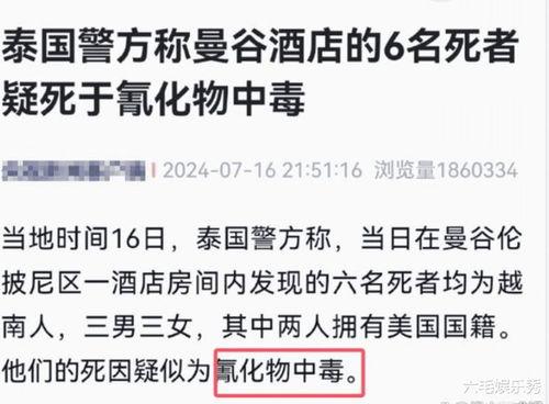 王海鑫最新爆料新闻事件,揭秘事件背后惊人真相  第3张
